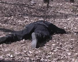 
				大明嫔妃之逐鹿
			