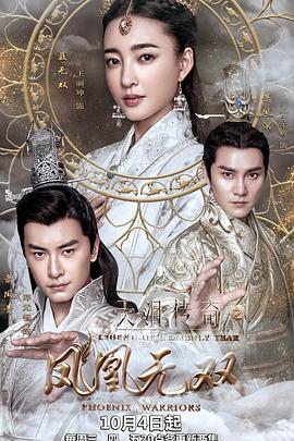 
				天泪传奇之凤凰无双
			