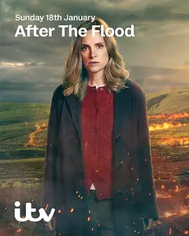 洪水之后第二季