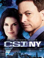CSI：纽约篇[第七季]