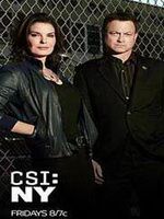 CSI：纽约篇[第九季]